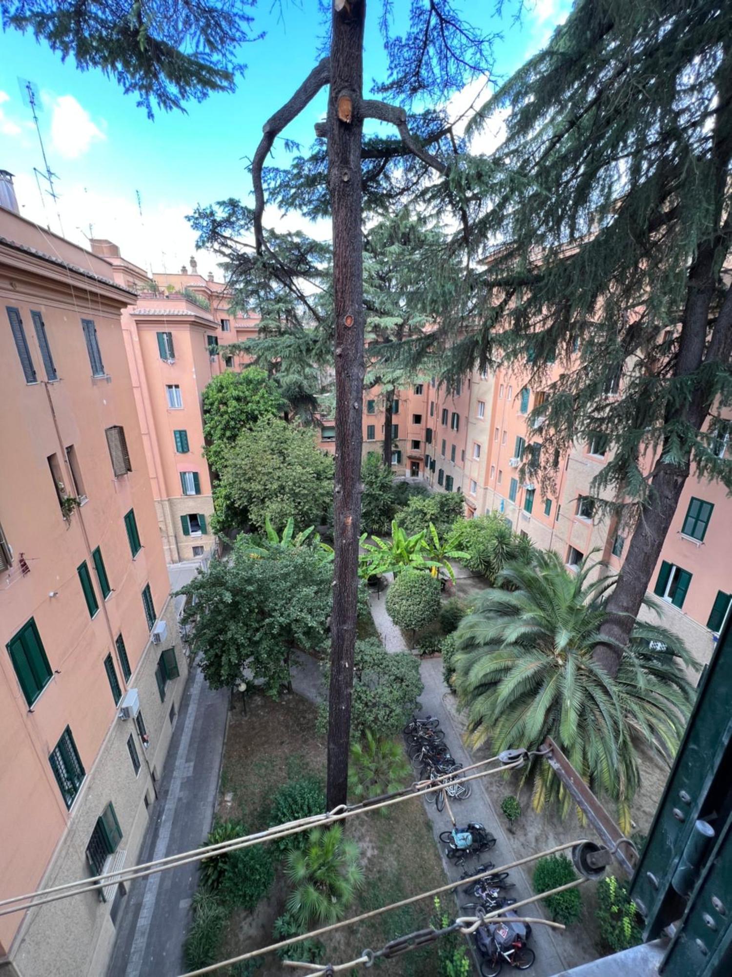 Enjoy Vatican Holiday In Rome Exterior photo